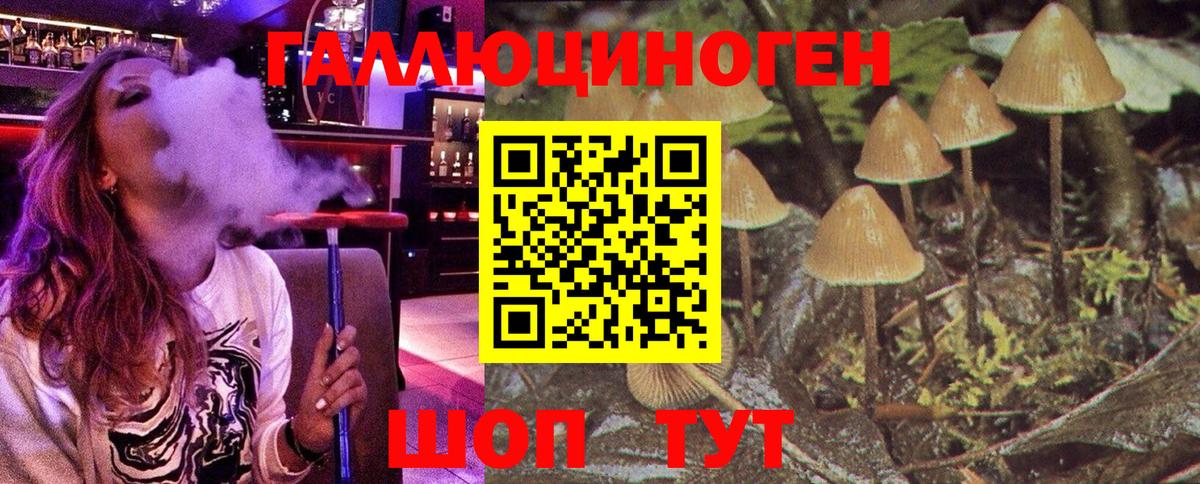 Камышин  Галлюциногенные грибы Magic Shrooms  где купить   Вход с VPN  Галлюциногенные грибы Magic Shrooms 